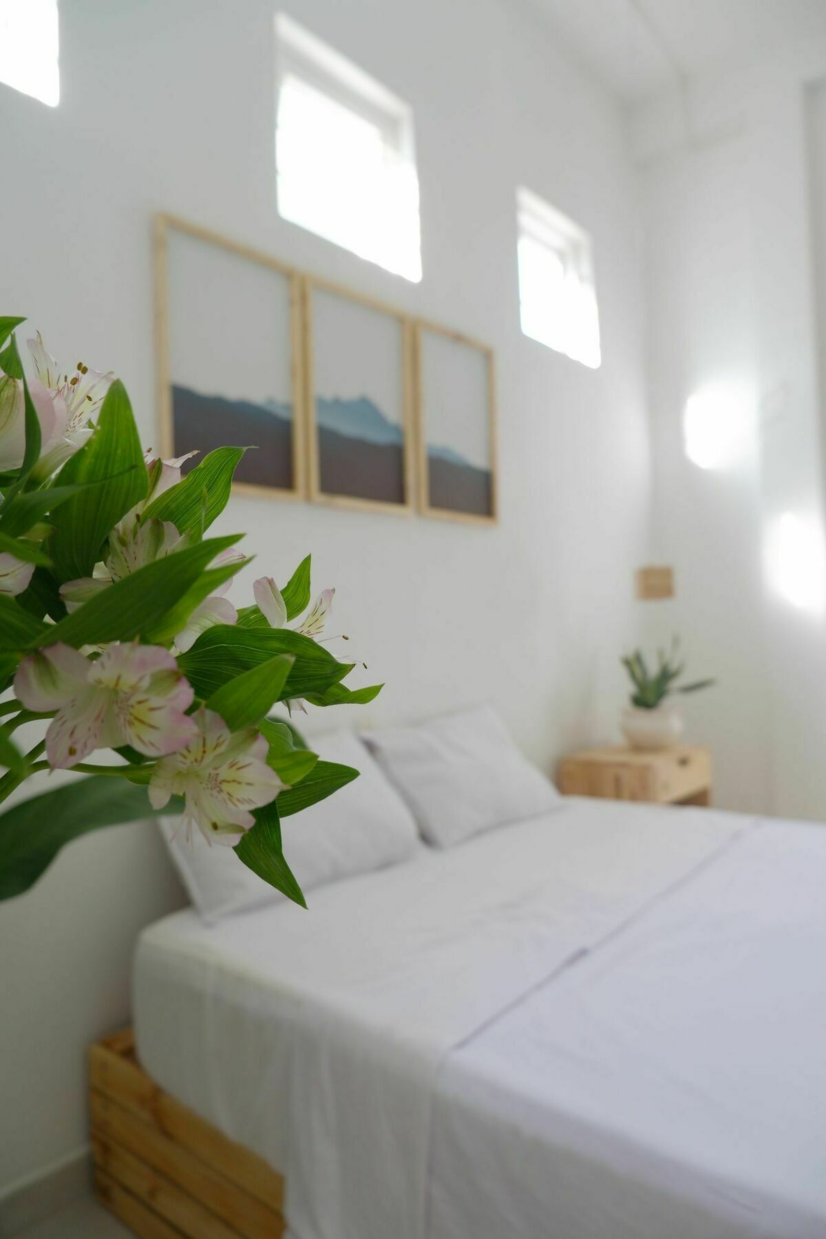 Baobab Homestay Da Nang Exterior photo